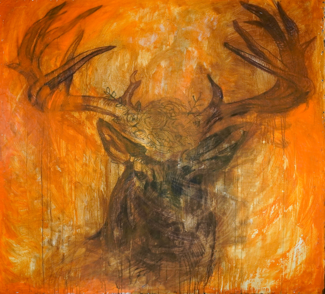 374 - Stag, 2019